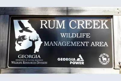 1047 Ponder Trammell Road, Juliette, GA 31046 - Photo 7