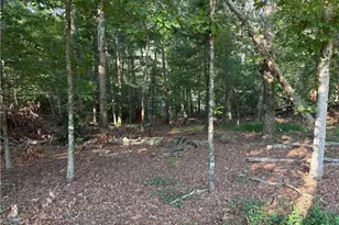 179 Garrison Dr, Cleveland, GA 30528 - Photo 19