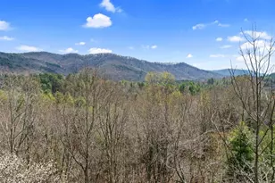 [Address not provided], Cherrylog, GA 30522 - Photo 41