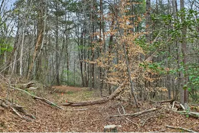 1812 Upper Bethany Rd., Ball Ground, GA 30107 - Photo 3