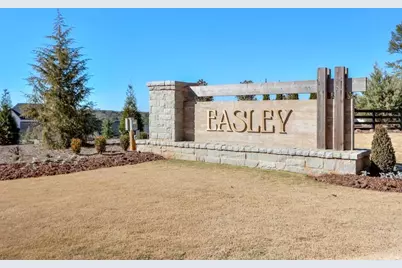 383 Tillman Pass, Woodstock, GA 30188 - Photo 33