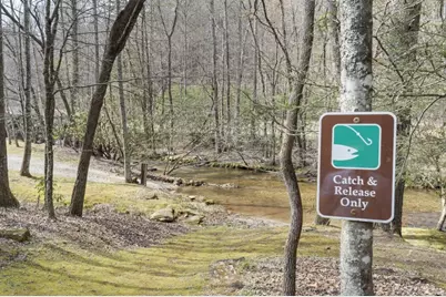 77 Old Covered Bridge Road, Cherrylog, GA 30522 - Photo 5