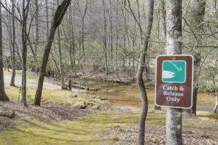 77 Old Covered Bridge Rd, Cherrylog, GA 30522 - Photo 5