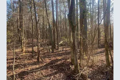 0 Corinth Five Points Rd, Buchanan, GA 30113 - Photo 1