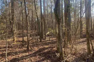 0 Corinth-Five Points Rd, Buchanan, GA 30113 - Photo 1