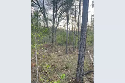 2557 Washington Highway, Elberton, GA 30635 - Photo 3