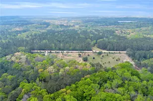 77 Vesta Palmetto Rd, Carlton, GA 30627 - Photo 49