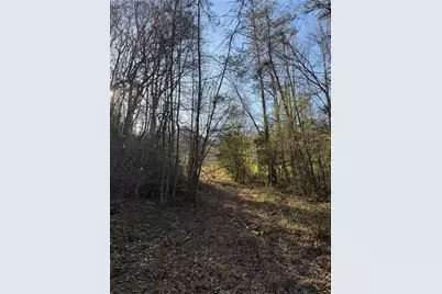 0 Blue Arrow Lane, Mineral Bluff, GA 30559 - Photo 17