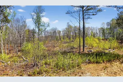 0 Twisted Oak Road, Talking Rock, GA 30175 - Photo 3