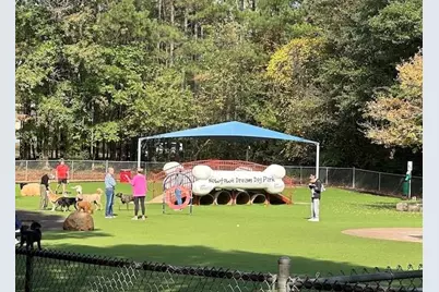 195 Stoney Ridge Drive, Alpharetta, GA 30022 - Photo 63