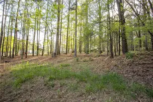 4450 Bay Creek Rd, Loganville, GA 30052 - Photo 39