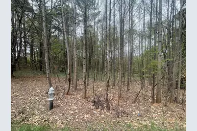 0 Mt Tabor Church Road, Dallas, GA 30157 - Photo 3