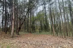 0 Mt Tabor Church Rd, Dallas, GA 30157 - Photo 1