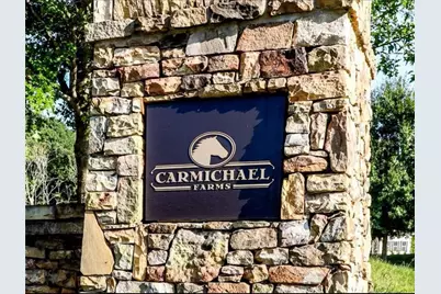 437 Carmichael Circle, Canton, GA 30115 - Photo 5