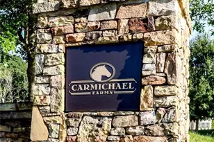 437 Carmichael Cir, Canton, GA 30115 - Photo 5