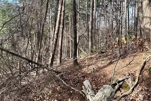 0 Log Swamp Dr Dr, Jasper, GA 30143 - Photo 1