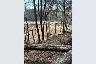 0 Log Swamp Dr. Drive, Jasper, GA 30143 - Photo 3