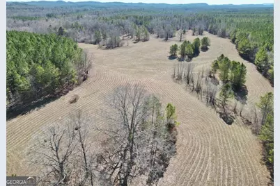 0 Livingston Rd, Rome, GA 30161 - Photo 3