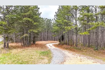 0 Felton Rockmart Road, Buchanan, GA 30113 - Photo 47