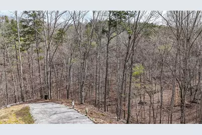 0 Felton Rockmart Road, Buchanan, GA 30113 - Photo 15