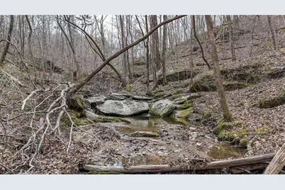 0 Felton Rockmart Road, Buchanan, GA 30113 - Photo 5