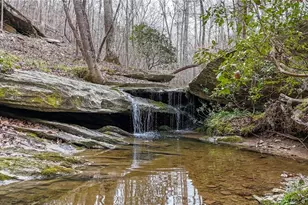 0 Felton Rockmart Rd, Buchanan, GA 30113 - Photo 1