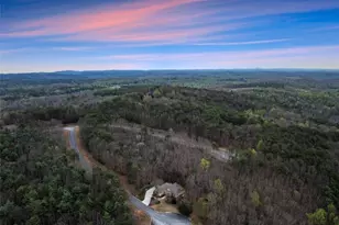 167 Early Red Pippin, Clarkesville, GA 30523 - Photo 59