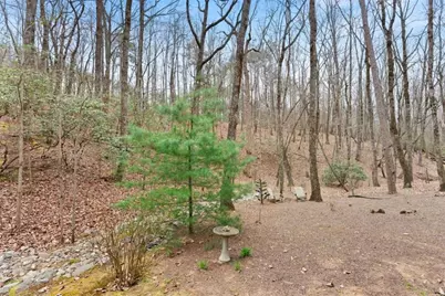 167 Early Red Pippin, Clarkesville, GA 30523 - Photo 43