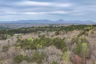 405 Wood Trce, Ball Ground, GA 30107 - Photo 45