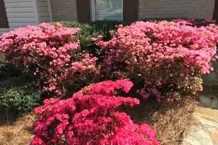 494 Embry Ln, Marietta, GA 30066 - Photo 43