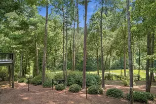204 Sinti Trail, Big Canoe, GA 30143 - Photo 3