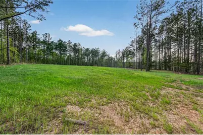 669 Pecan Grove Road, Washington, GA 30673 - Photo 45