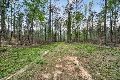 669 Pecan Grove Road, Washington, GA 30673 - Photo 37