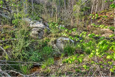 669 Pecan Grove Road, Washington, GA 30673 - Photo 55