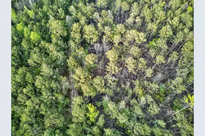 669 Pecan Grove Road, Washington, GA 30673 - Photo 13