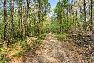 669 Pecan Grove Road, Washington, GA 30673 - Photo 41