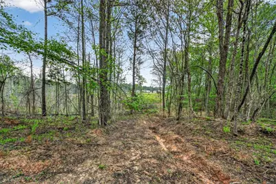 669 Pecan Grove Road, Washington, GA 30673 - Photo 35