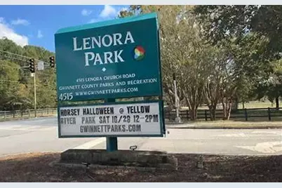 3710 Ivy Cottage Drive, Snellville, GA 30039 - Photo 41