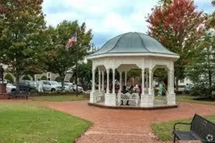 965 Cartersville St, Ball Ground, GA 30107 - Photo 59