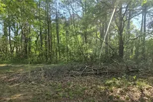 208 Fairview Point, Ellenwood, GA 30294 - Photo 9