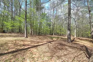 10 Carriage Ln NW, Cartersville, GA 30120 - Photo 7