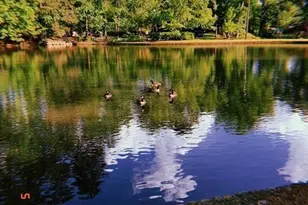 2626 Peachtree Rd NW, Atlanta, GA 30305 - Photo 33