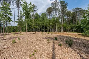 Trct 2 Pope Rd, Buchanan, GA 30113 - Photo 15
