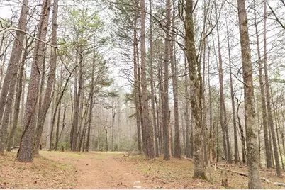 0 Reagan Road, Dawsonville, GA 30534 - Photo 13