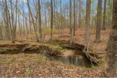 3880 Fern Springs Lane, Douglasville, GA 30135 - Photo 67