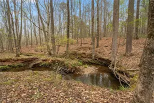 3880 Fern Springs Ln, Douglasville, GA 30135 - Photo 67