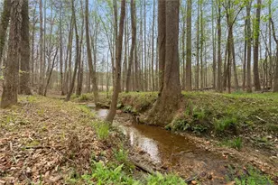 3880 Fern Springs Ln, Douglasville, GA 30135 - Photo 65