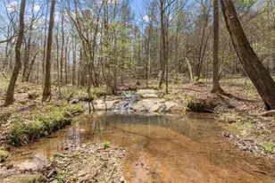 3880 Fern Springs Ln, Douglasville, GA 30135 - Photo 57