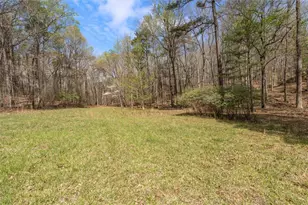 3880 Fern Springs Ln, Douglasville, GA 30135 - Photo 59