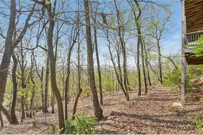 1041 Cox Mountain Drive, Big Canoe, GA 30143 - Photo 73